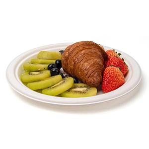 Sugarcane Bagasse Round Plate 6 Inch